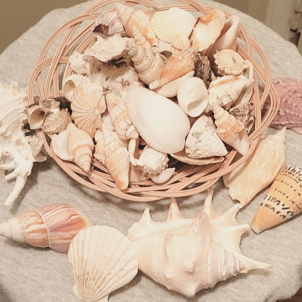 Various Beach Themed Decor (see 2nd pic for more)